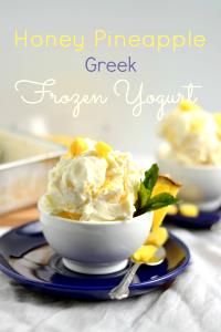 1 oz (28 g) Pineapple Frozen Yogurt