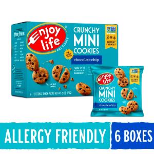 1 oz (28 g) Vegan Chocolate Chip Cookies