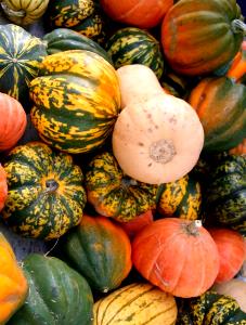 1 Oz Acorn Winter Squash (with Salt, Mashed, Cooked, Boiled)