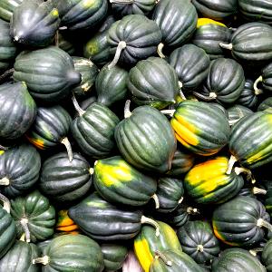 1 Oz Acorn Winter Squash