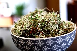 1 Oz Alfalfa Sprouts