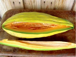 1 Oz Banana Melon (Navajo)