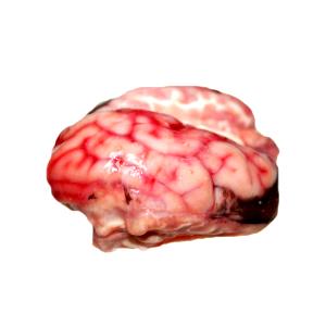 1 Oz Beef Brain