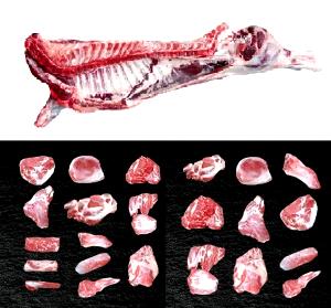 1 Oz Beef Carcass, Raw, Slf