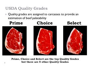 1 Oz Beef Carcass (Select Grade)
