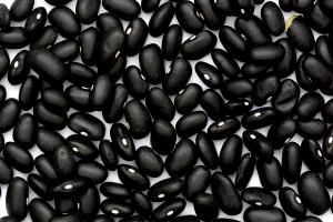 1 Oz Black Turtle Soup Beans (Mature Seeds, Without Salt, Cooked, Boiled)