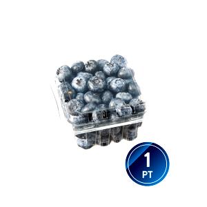 1 Oz Blueberries (Cooked or Canned)
