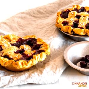 1 Oz Blueberry Pie (Individual Size or Tart)