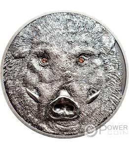 1 Oz Boar, Wild, Raw