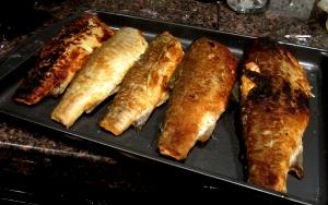 1 Oz Boneless Baked Breaded or Battered Trout