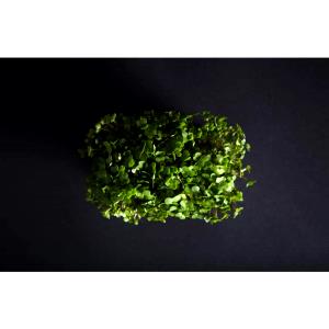 1 Oz Broccoli Leaves