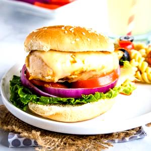 1 Oz Broiled Chicken Fillet Sandwich with Cheese, Lettuce, Tomato and Spread on Bun