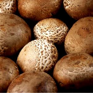 1 Oz Brown Mushrooms (Crimini Italian)