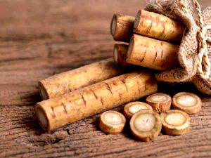 1 Oz Burdock Root (with Salt, Drained, Cooked, Boiled)