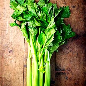 1 Oz Celery