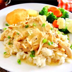 1 Oz Chicken or Turkey, Rice and Vegetables in Gravy (Mixture)