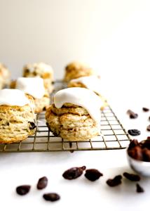 1 Oz Cinnamon Raisin Biscuit