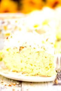 1 Oz Coconut Creme Pie (Mix, No-Bake Type)
