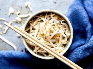 1 Oz Cooked Bean Sprouts (Fat Not Added in Cooking)