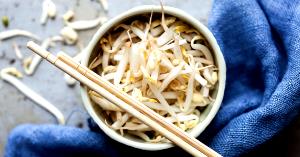1 Oz Cooked Bean Sprouts (from Fresh, Fat Not Added in Cooking)
