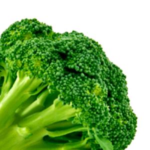 1 Oz Cooked Broccoli (from Fresh, Fat Not Added in Cooking)