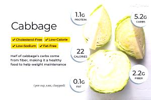 1 Oz Cooked Green Cabbage (Fat Added in Cooking)