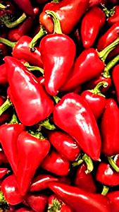 1 Oz Cooked Hot Peppers (from Fresh)