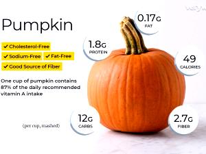 1 Oz Cooked Pumpkin (from Frozen, Fat Not Added in Cooking)