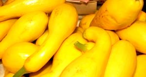1 Oz Cooked Summer Squash (from Canned, Fat Not Added in Cooking)