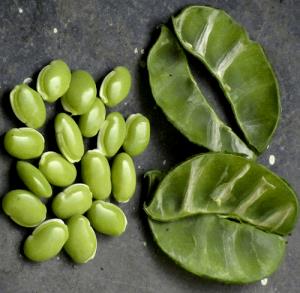 1 Oz Cowpeas (Leafy Tips, Without Salt, Drained, Cooked, Boiled)