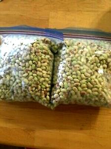 1 Oz Cowpeas (Young Pods with Seeds)
