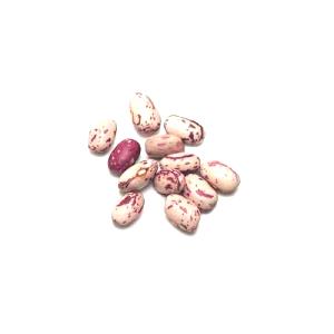 1 Oz Cranberry (Roman) Beans (Mature Seeds, with Salt, Cooked, Boiled)