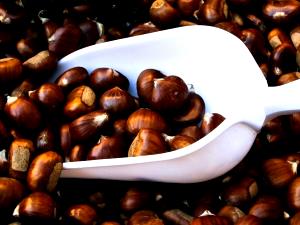 1 Oz Dried European Chestnuts (Unpeeled)