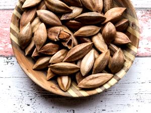 1 Oz Dried Pilinuts-Canarytree Nuts