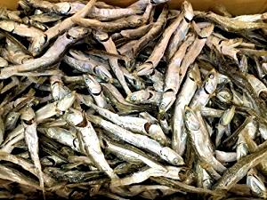1 Oz Dried Sardines