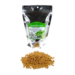 1 Oz Dry Roasted Soybeans (Mature Seeds)