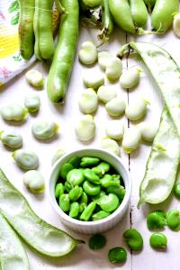 1 Oz, Dry, Yield After Cooking Cooked Fava Beans (Fat Not Added in Cooking)