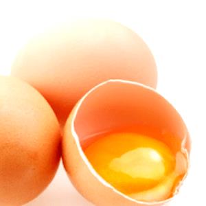 1 Oz Egg Omelet or Scrambled Egg (Fat Not Added in Cooking)