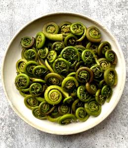 1 Oz Fiddlehead Ferns