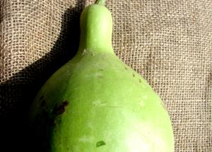 1 Oz Gourd Dishcloth (Towelgourd) (with Salt, Drained, Cooked, Boiled)