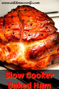 1 Oz Ham Leg, Shank Half, Raw, Slo