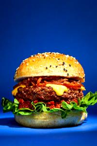 1 Oz Hamburger with Tomato and/or Catsup on Bun