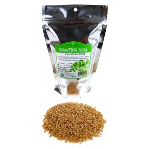 1 Oz Hard White Wheat