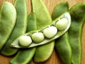 1 Oz Hyacinth-Beans (Immature Seeds, Without Salt, Drained, Cooked, Boiled)