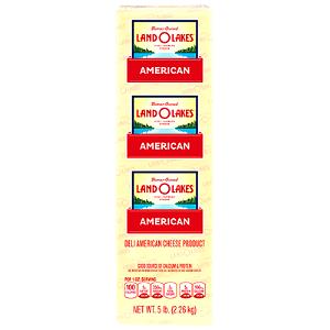 1 Oz Land O Lakes American Deli