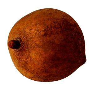 1 Oz Mammy-Apple (Mamey)