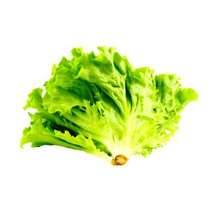 1 Oz Manoa Lettuce