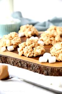 1 Oz Marshmallow and Peanut Butter Cookie with Oat Cereal