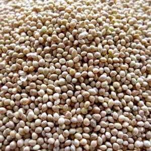 1 Oz Millet