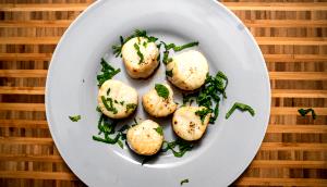 1 Oz Of Baked or Broiled Scallops